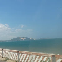 Tác Giả