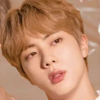 Kim Seok Jin