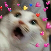 Tác giả ume H của OTP
