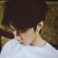Lưu Diệu Văn(anh)