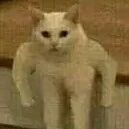 t/g thân iu của các pộn