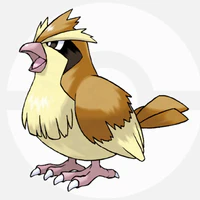 poppo