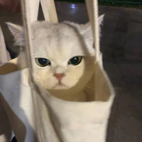 tg
