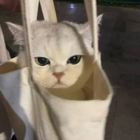 tg