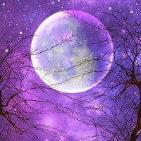 Hs / HT / giáo viên/ thành viên