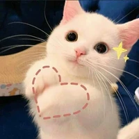 tác giả máu chó