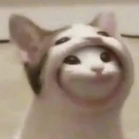 tác giả ngáo đá