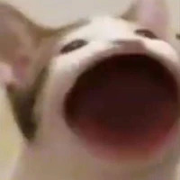 loa