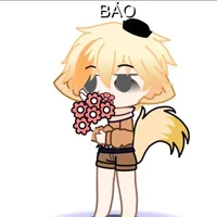 bảo