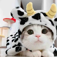 Mèo biết viết chuyện