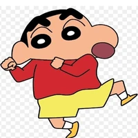 Shin