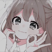 Y/n