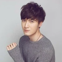 Lưu Hải Khang ( anh họ VNB )