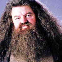 Rubeus  hagrid