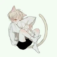《hình dạng thật》aly
