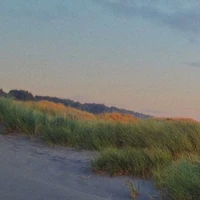 NVP 3 ( đa dạng NV )