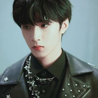 Lưu Diệu Văn (anh)