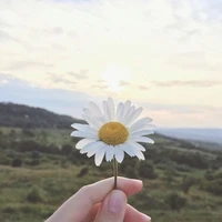 @capnhattintuc
