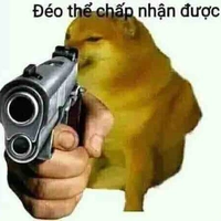 Tg lười kiếm ảnh😼🤌✨