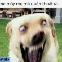 con tác giả mới trốn trại