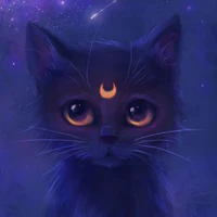 NuCat( Kami akuno)
