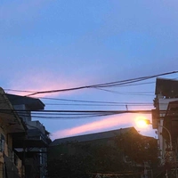 Cả đoàn
