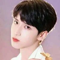 Nghiêm Hạo Tường