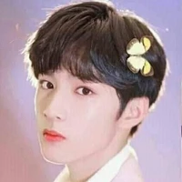 Lưu Diệu Văn