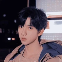 Hạ Tuấn Lâm