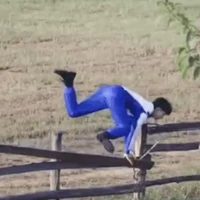Đũy tg