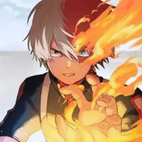 todoroki shouto