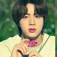 Kim Seok Jin