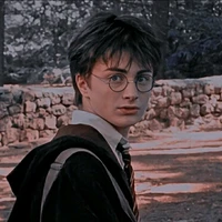 Harry Potter ⚡