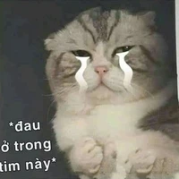 NVP
