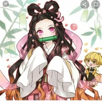nezuko t/g