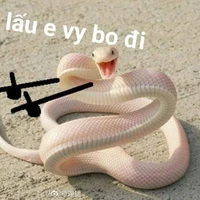 Hội nằm dưới