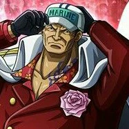 Sakazuki Akainu