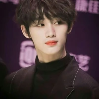 Đinh Trình Hâm