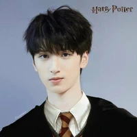 Nghiêm Hạo Tường