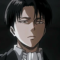 Levi