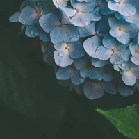 chấp mọi loại người