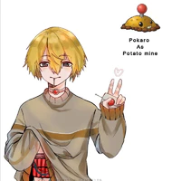 Pokaro