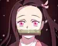 Kamado nezuko 