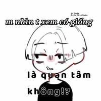 N/v phụ