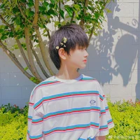 Trương Cực_y