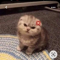 hai ông anh của dream