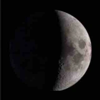 Mẹ NV thập cẩm