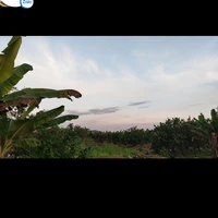 nhân vật phụ