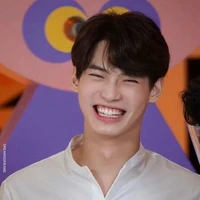 win metawin