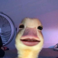 người viết chuyện <cute>